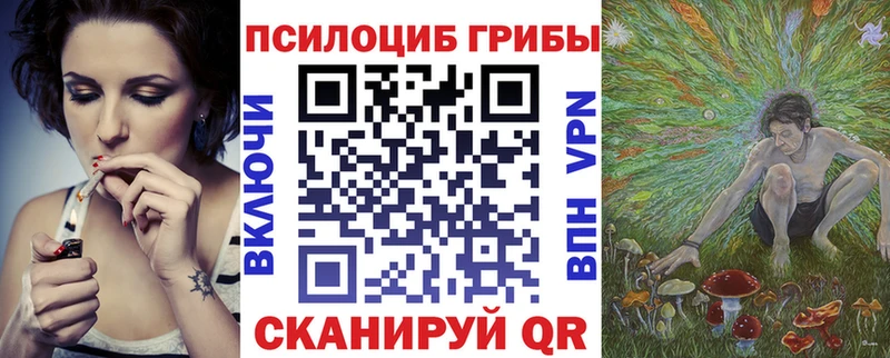 нарко площадка как зайти  Гулькевичи  Галлюциногенные грибы Psilocybine cubensis  кракен как войти 