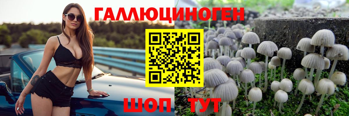 Галлюциногенные грибы мицелий Гулькевичи