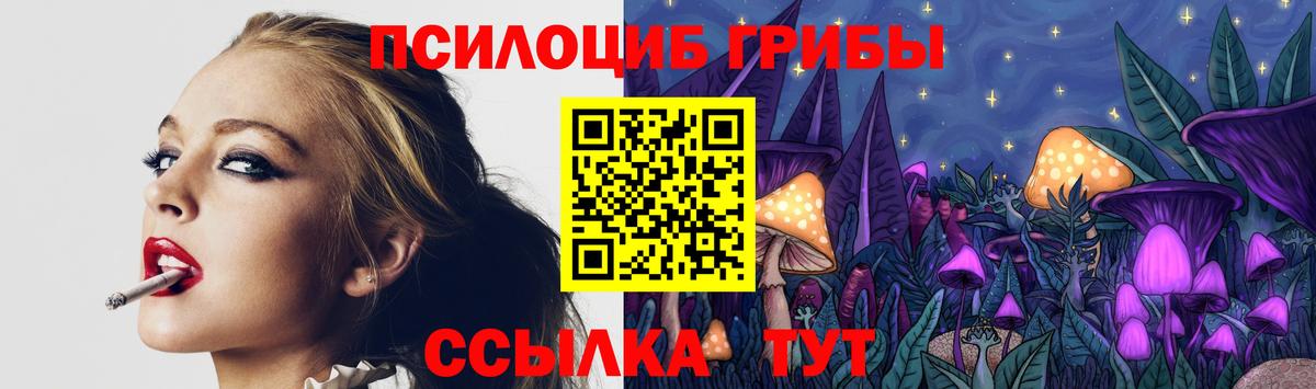 Псилоцибиновые грибы Psilocybine cubensis Гулькевичи