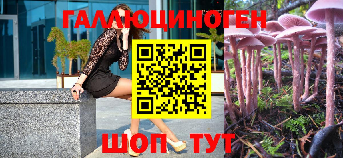 Галлюциногенные грибы GOLDEN TEACHER  Гулькевичи  Псилоцибиновые грибы мухоморы 